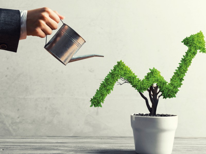 Parents And Their Expectations 