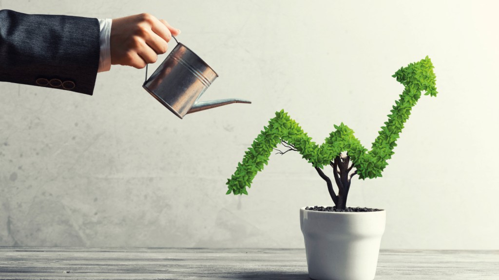 Parents And Their Expectations 