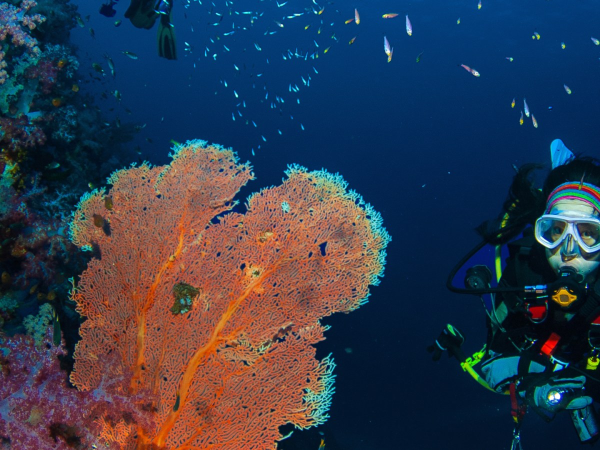 First dives in&nbsp;paradise